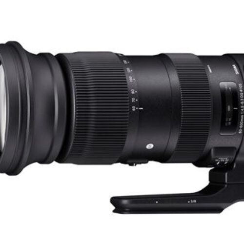 Lente Sigma 60-600mm f/4.5-6.3 DG OS HSM Sport DSLR para Canon EF